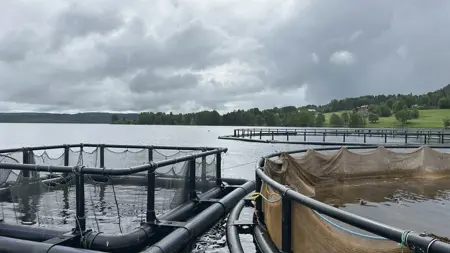 Fiskodlingskassar i en sjö med bryggor och skogsklädd strand i bakgrunden under molnig himmel.