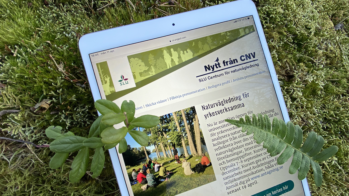 Nytt från CNV
