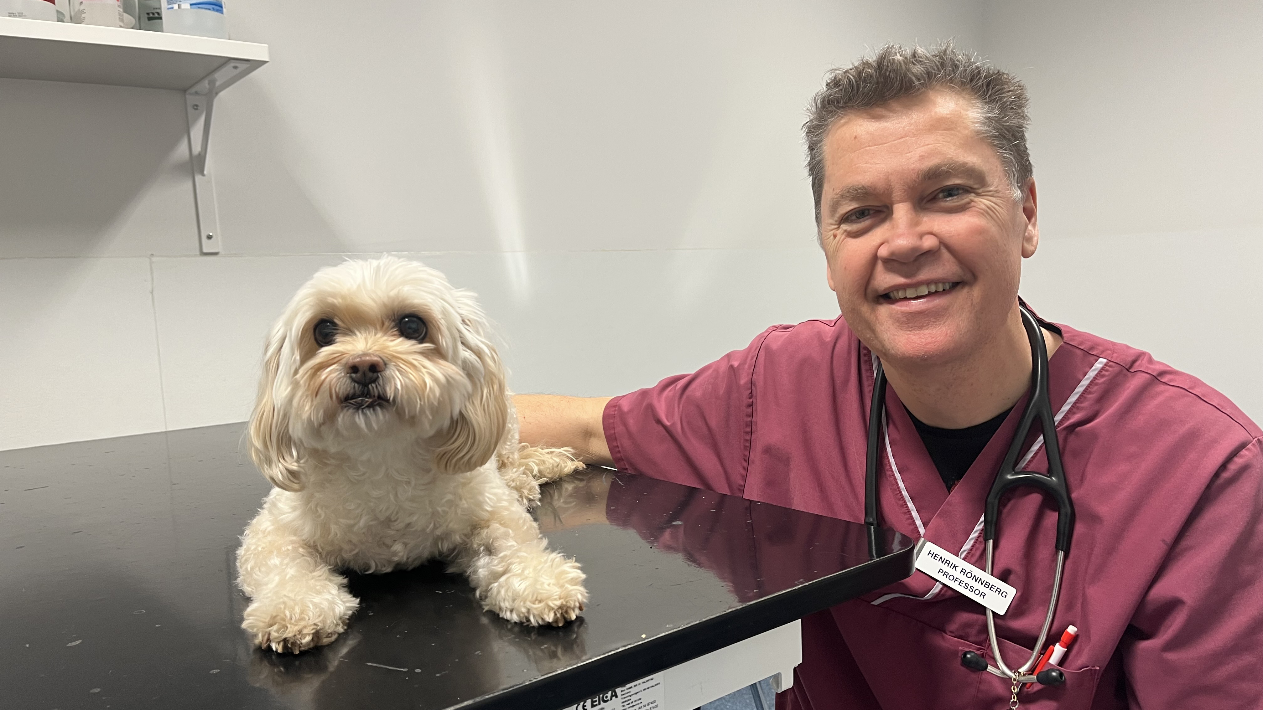 Photo of a male veterinarian (Henrik Rönnberg, SLU) sitting next to a dog on the examination table at a veterinary clinic.