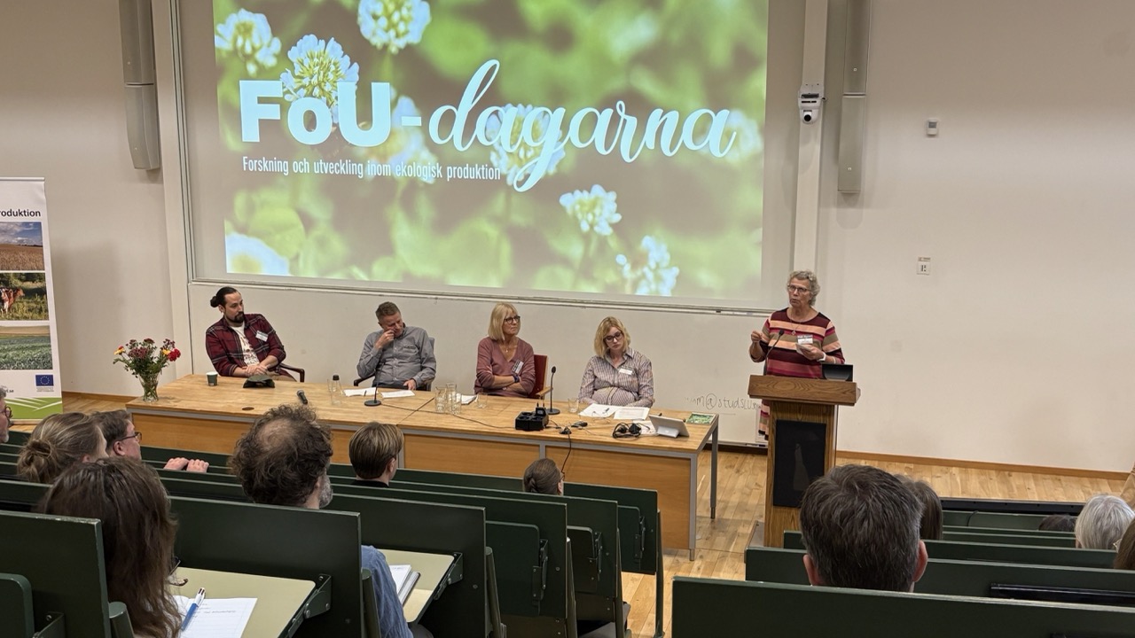 Paneldiskussion på FoU-dagarna, panelen och en talare diskuterar framför en stor skärm med texten "FoU-dagarna". Foto.