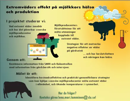 Image with text and illustrations that present the project plan.