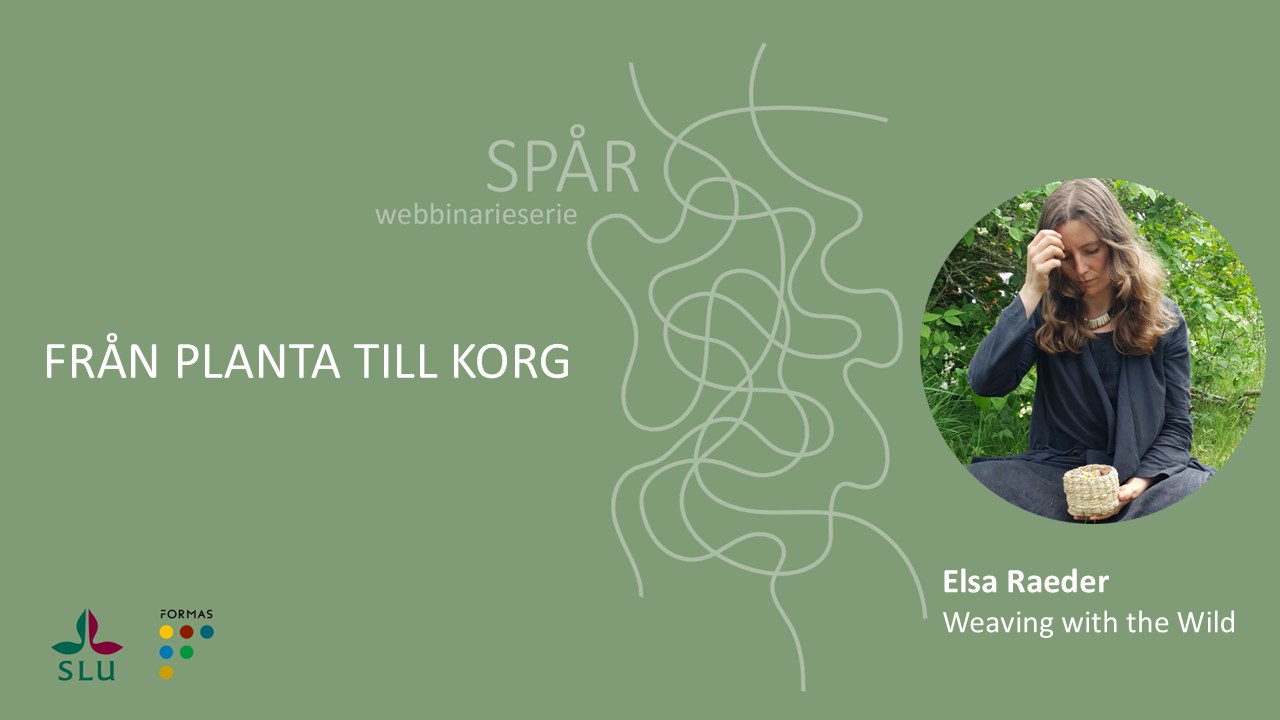 Poster för ett webbinarium