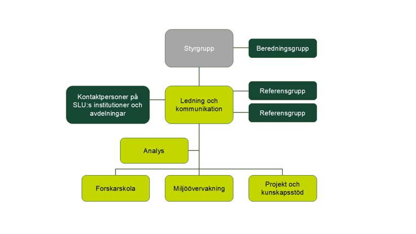 organisation chart. picture.