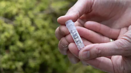 Barkprover i rör som hålls i hand. Foto.