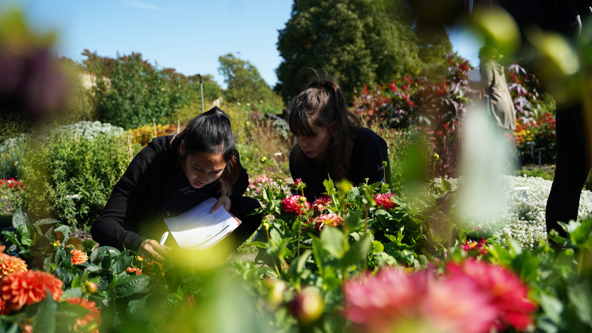 Students in the garden-range, Alnarp