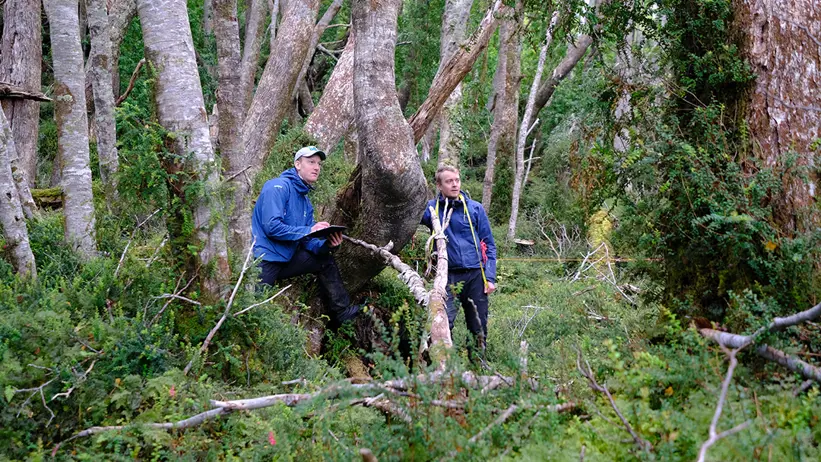 Fältarbete längre in området