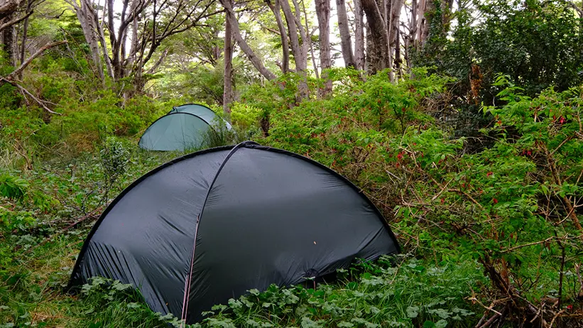Tälten vid Rio del Oro i Fuchsiasnår