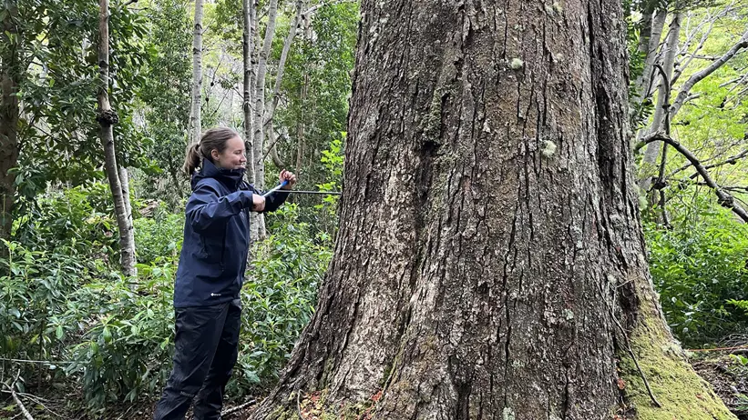Magdalena Fassl gör borrprover vid Rio del Oro.