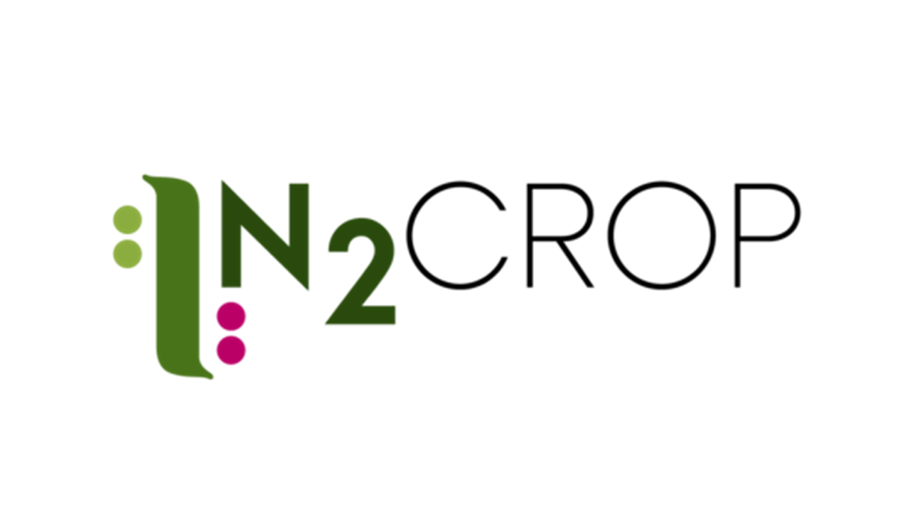 Logotype for N2crop