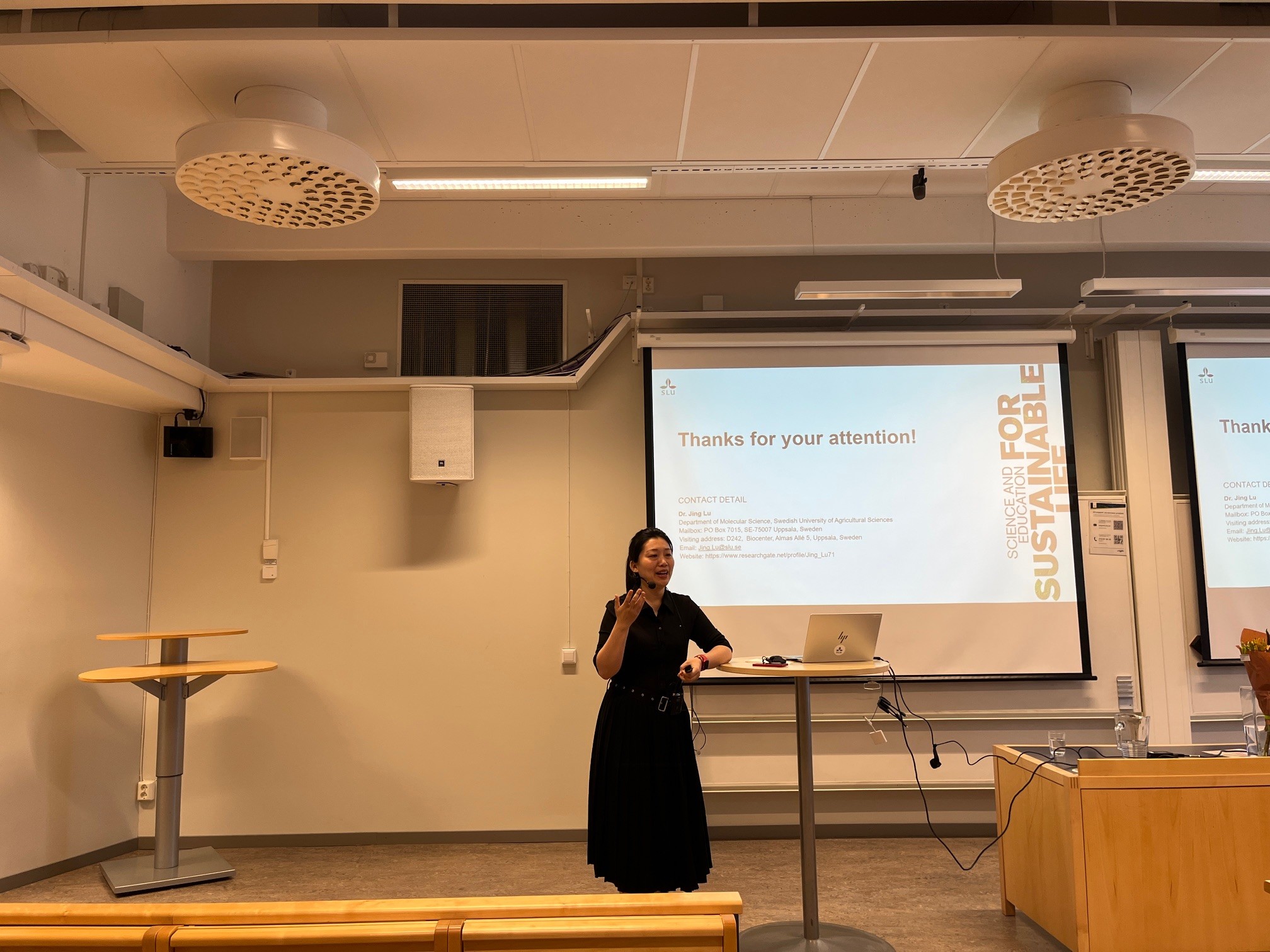 Jin Lu presents her work