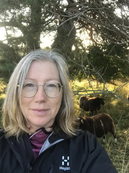 A woman with glasses, sheep are visible in the background. Photo.