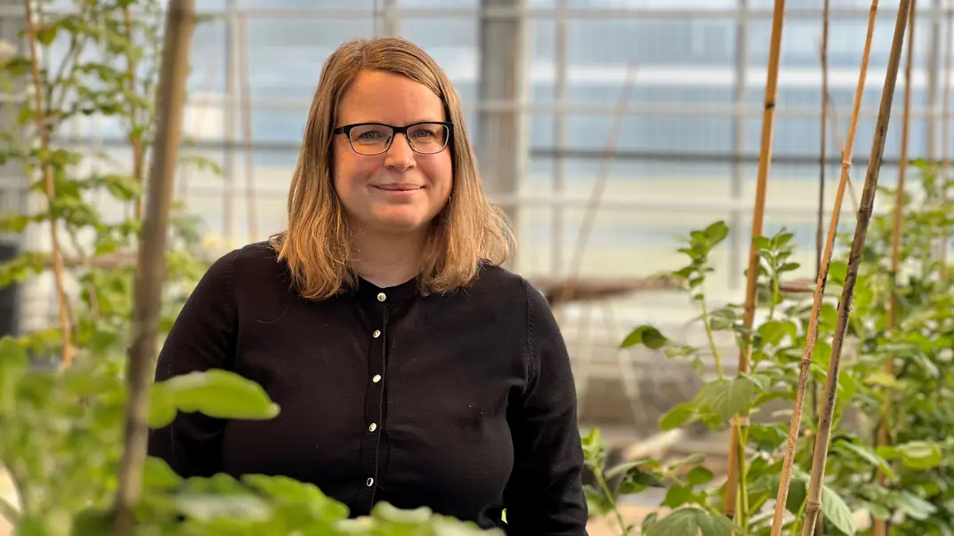 En fridfull kvinna i ett växthus med potatis