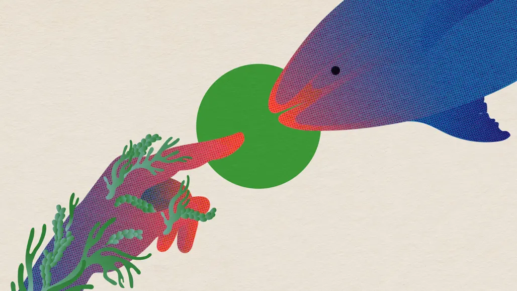 Illustrationsbild av en fisk och en hand som möter varandra.