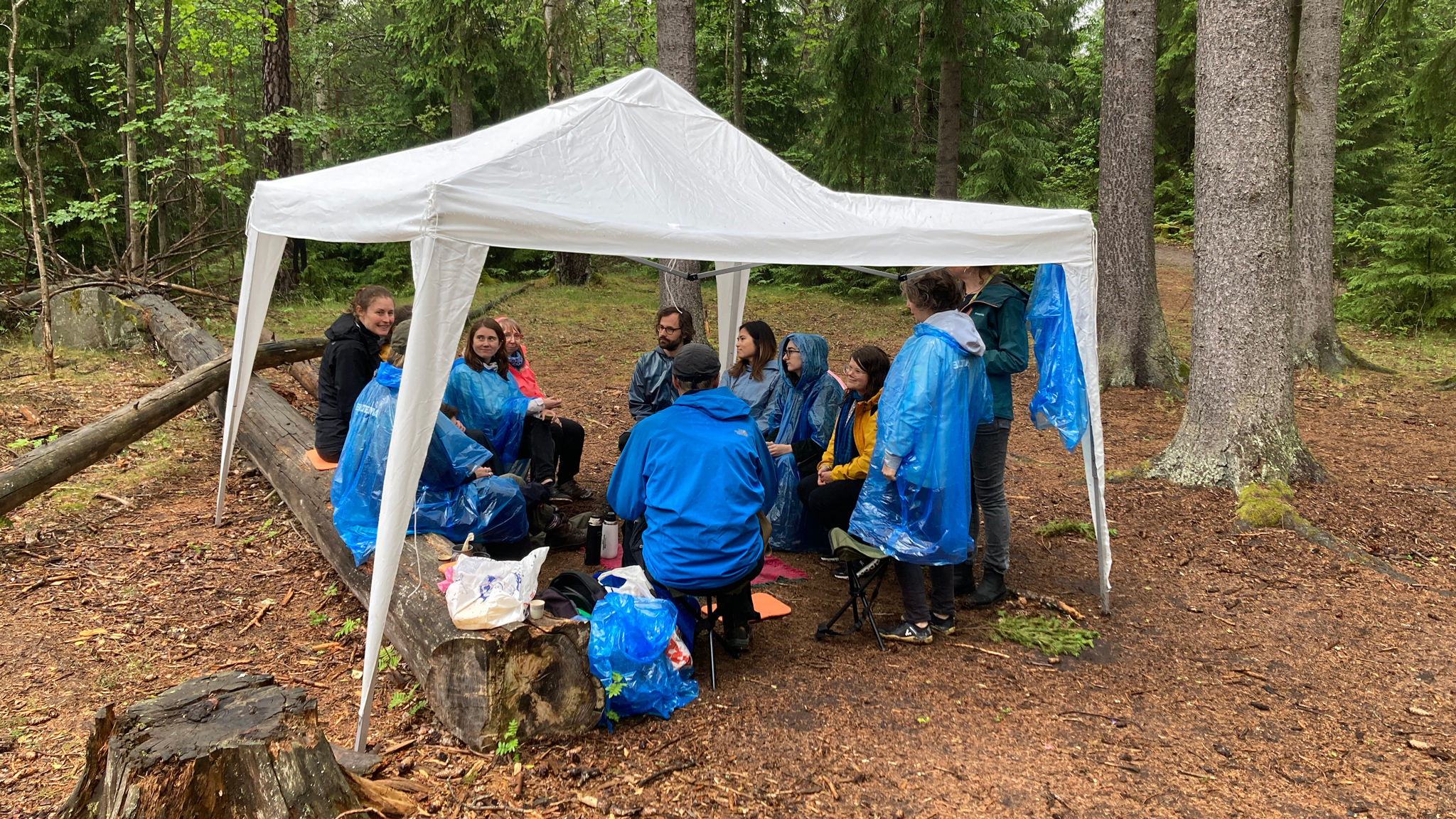 En grupp människor under ett vitt tälttak i en skog. Foto.