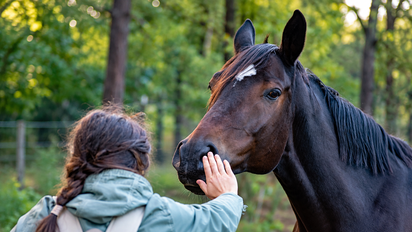 A person seen from behind is patting a dark brown horse on the muzzle.