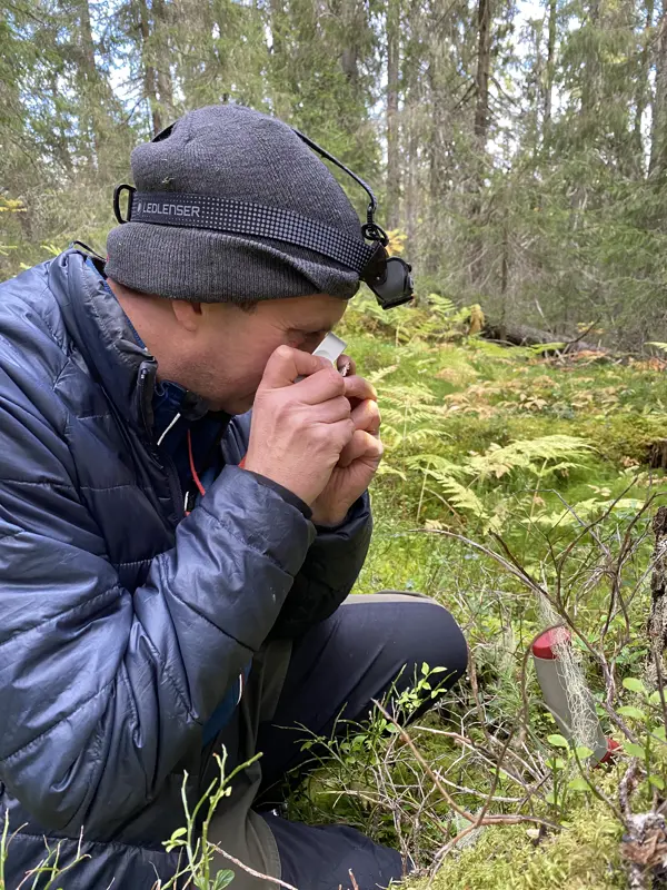Person som tittar på något litet med en lupp.