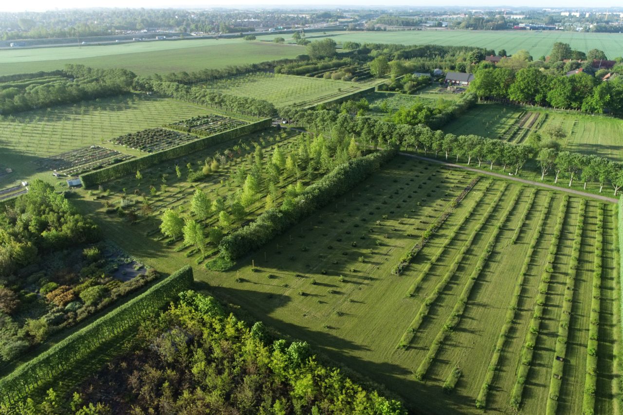 Drönarfoto över Centrala samlingen i Alnarp. Genbanken är fem hektar stor och växterna odlas i långa rader. 