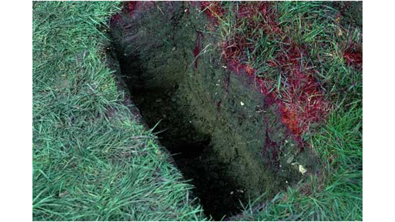 Jordprofil där man ser röd färg som runnit ner i olika porer i marken