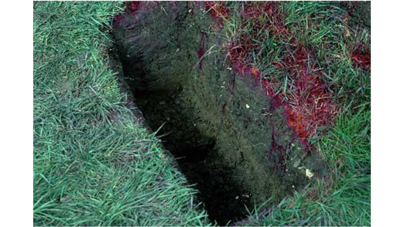 Jordprofil där man ser röd färg som runnit ner i olika porer i marken