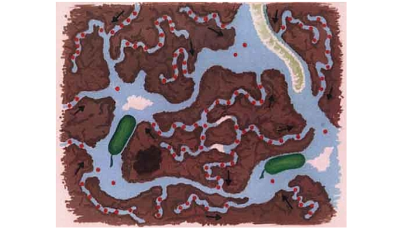 Schematisk bild över markporer