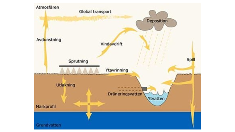 Schematisk bild över olika spridningsvägar av bekämpningsmedel från ett fält till omgivande miljö.