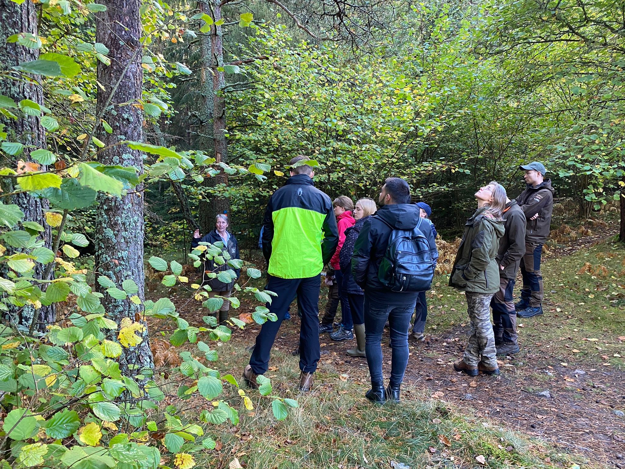 En grupp människor i skog