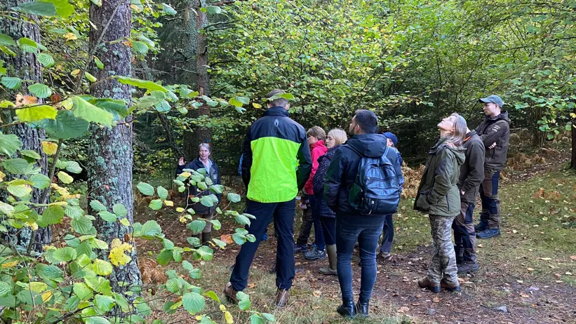 En grupp människor i skog