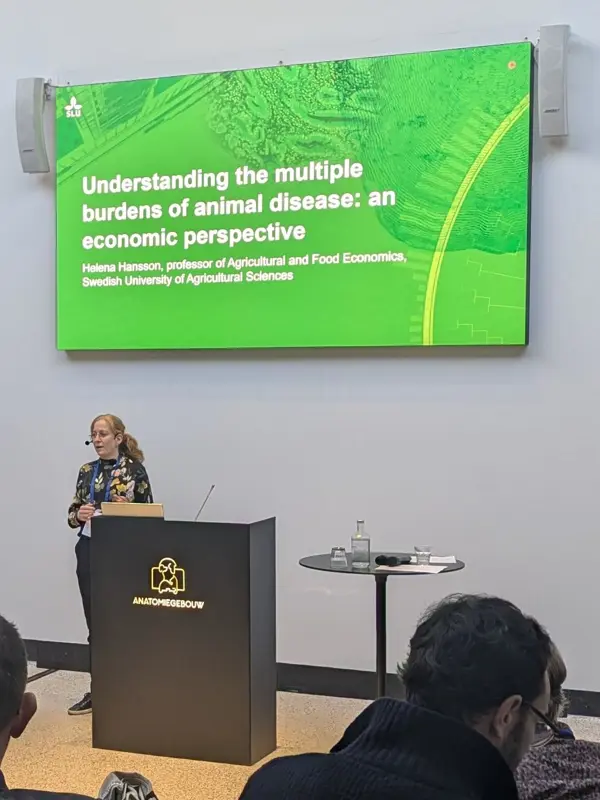 Professor Helena Hansson håller i en föreläsning