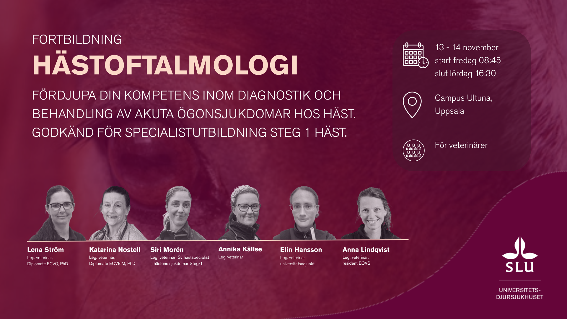 Banner Hästoftalmologi