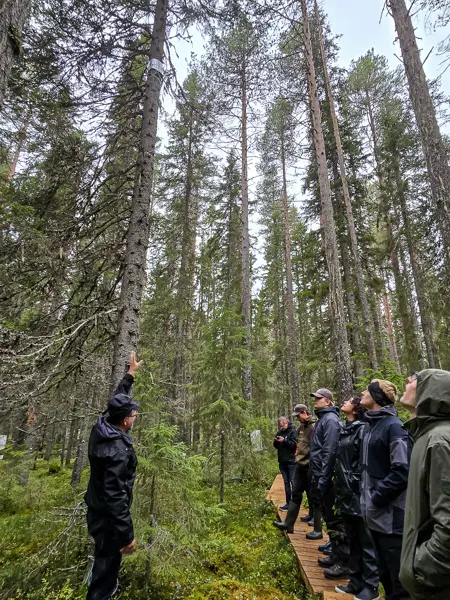 Hjalmar Laudon with visitors from AI For Science in the forest at Svartberget.