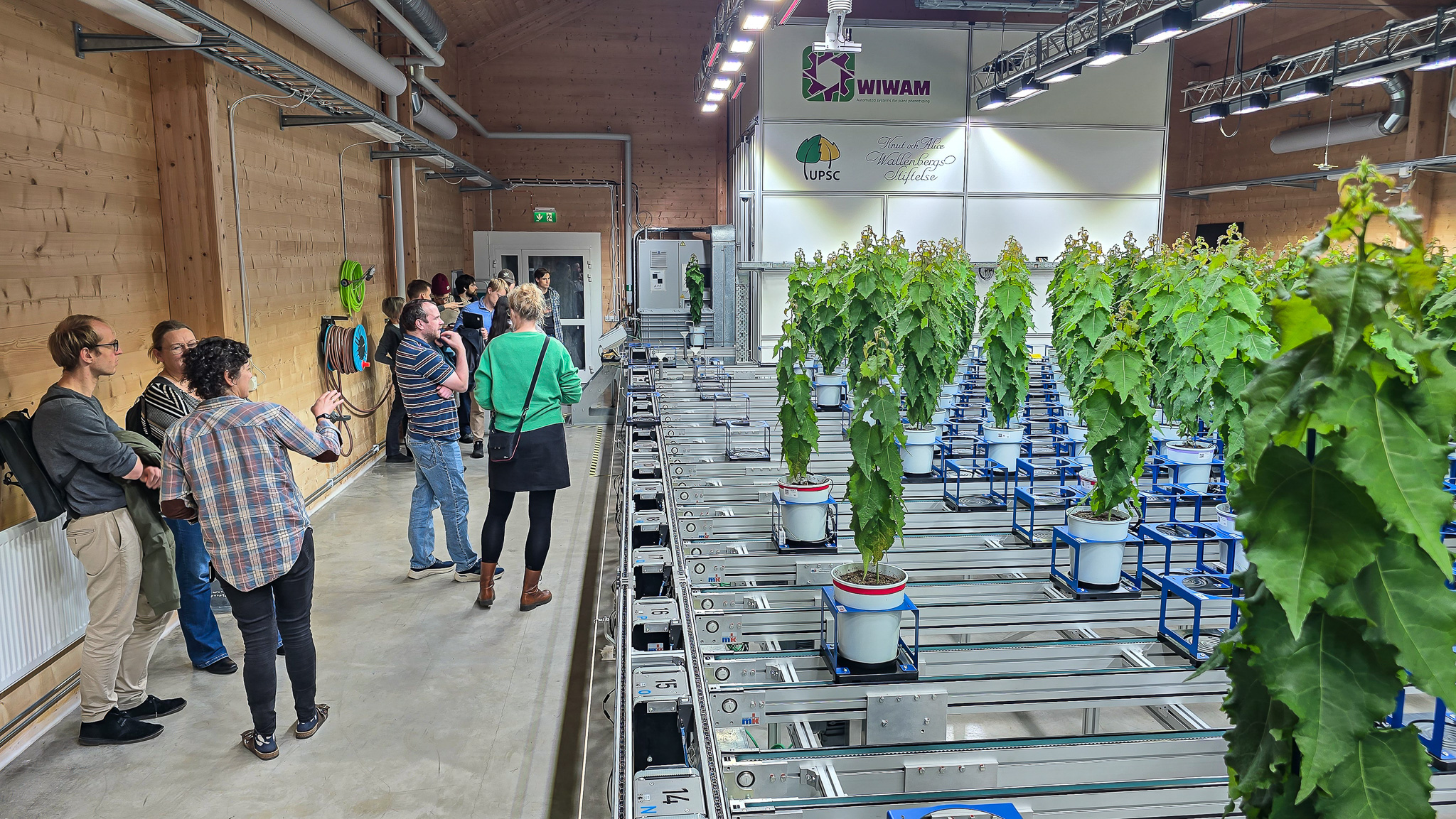 Visitors at UPSC’s automated tree phenotyping facility.