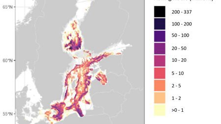 Karta över kustområde