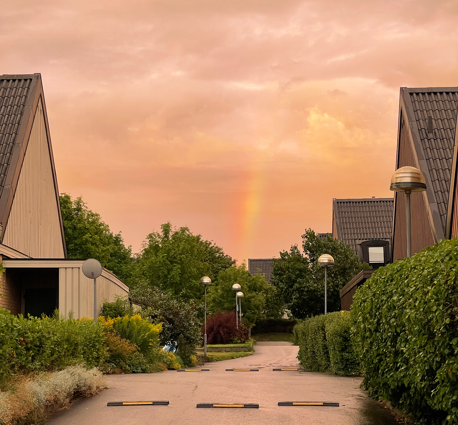 A rainbow on a pink coloured sky over a residential area