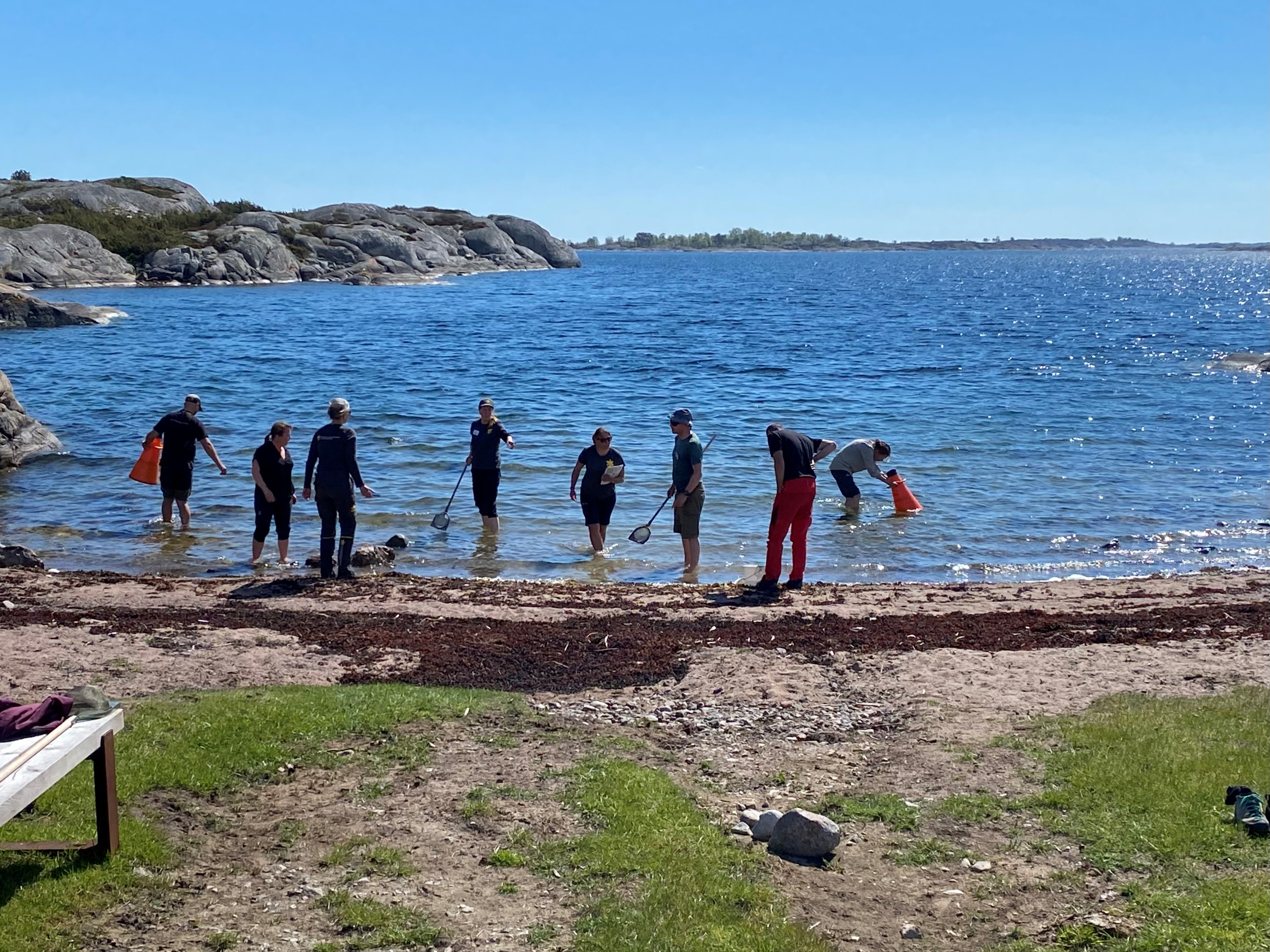 Flera personer står vid en sandstrand, några i vattnet.