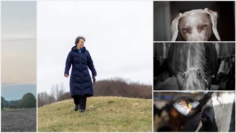 Kollage med flera bilder av olika djurslag samt en kvinna (Susanna Sternberg Lewerin, SLU) i mitten.