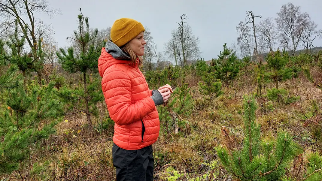 A woman in a forest. Photo.