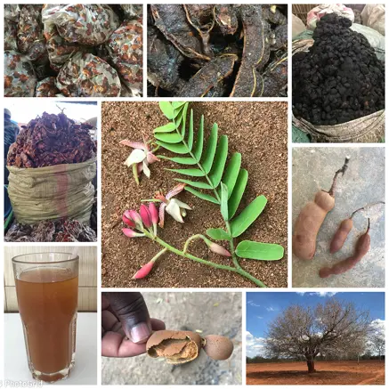 A photo collage