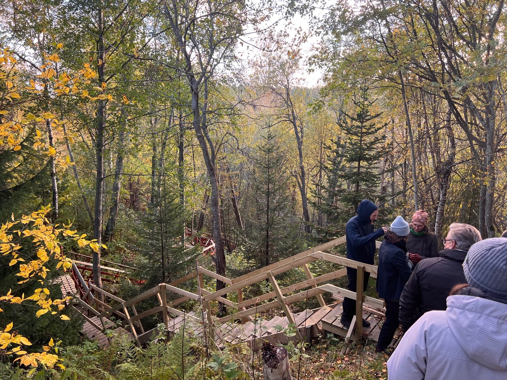 Bild på människor i höstskog.