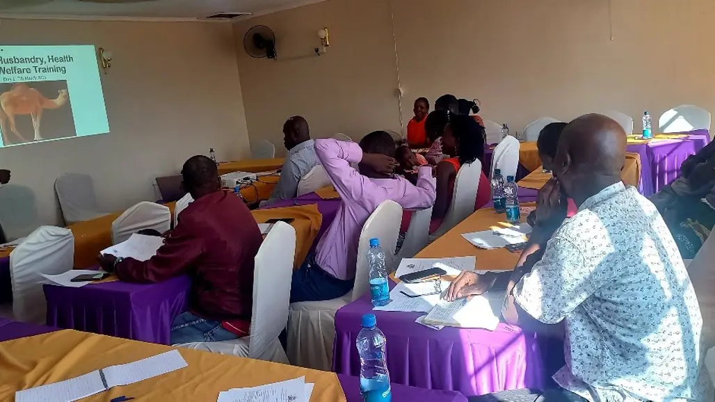 Group of people listening to a presentation