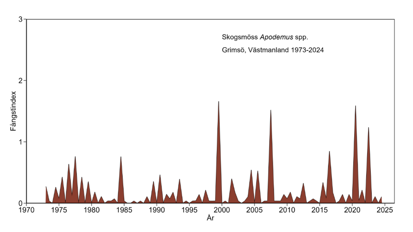 Diagram över antalet fångade skogssorkar