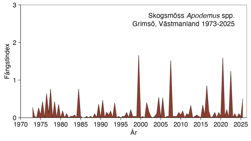 Diagrammet visar antalet fångade skogsmöss.