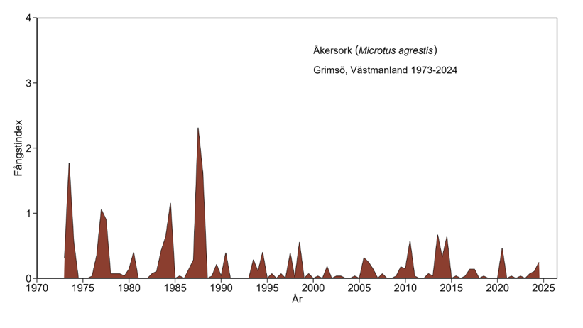 Diagram över antalet fångade åkersorkar