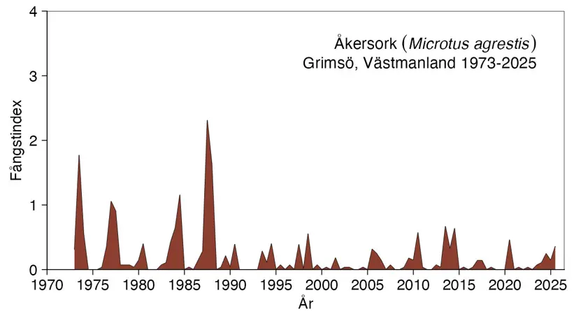 Diagrammet visar antalet fångade åkersorkar.