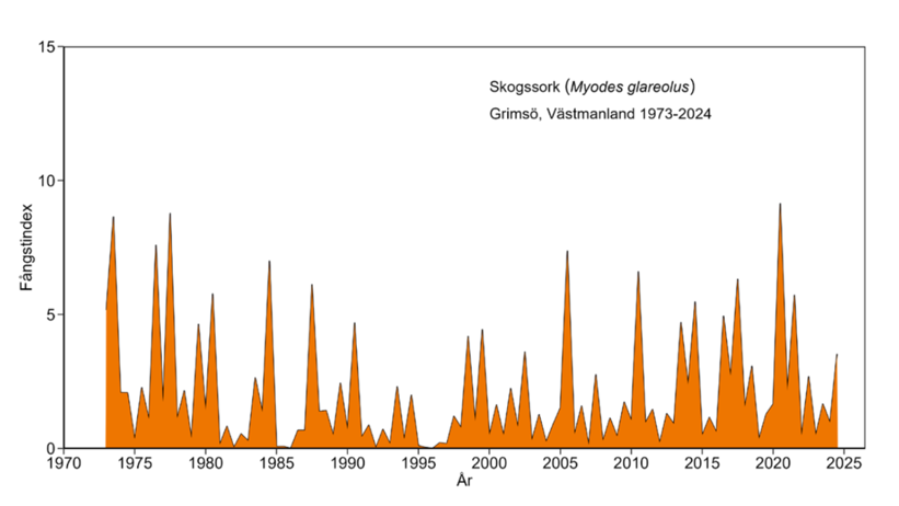 Diagram över antalet fångade skogssorkar