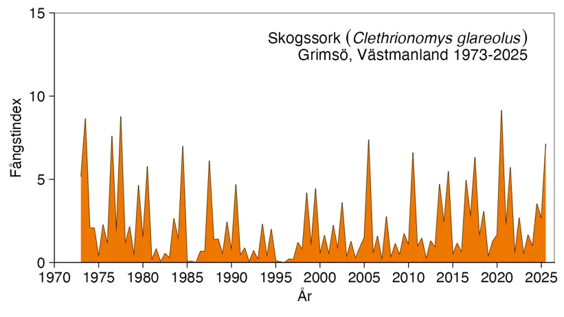 Diagrammet visar antalet fångade skogssorkar.