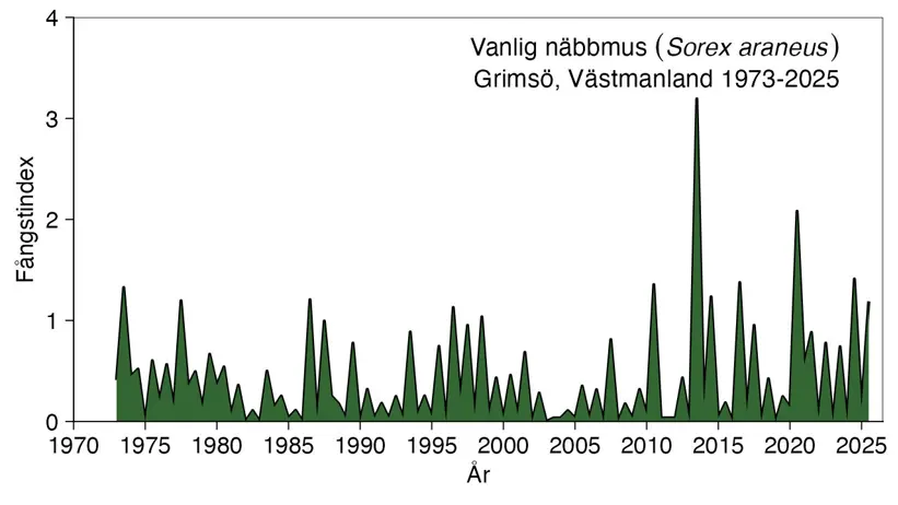Diagrammet visar antalet fångade näbbmöss.