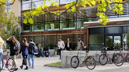 Bicycles parked at an entrance to a house. Some people outside. Photo: Malin Grönborg