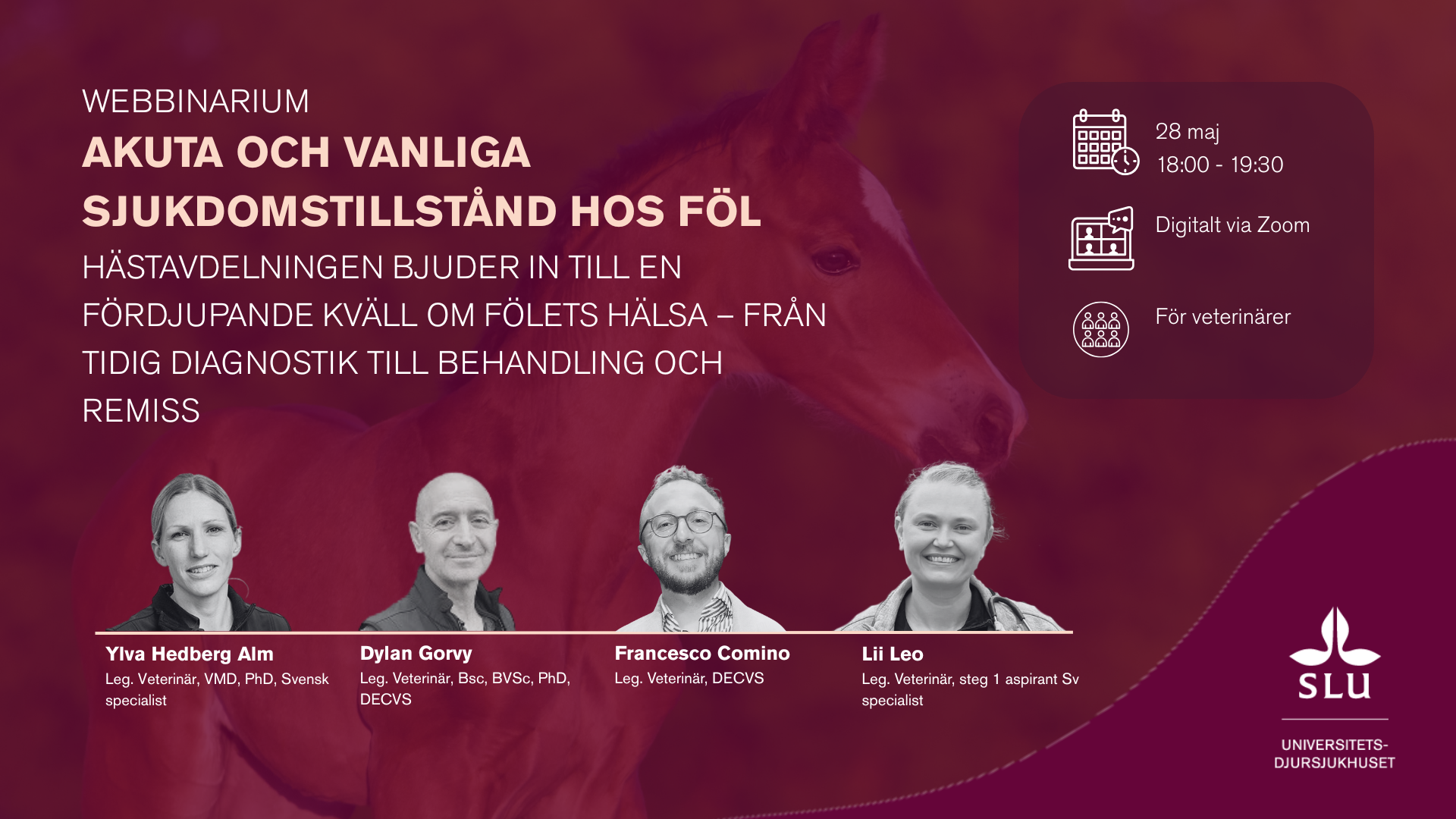 banner Akuta och vanliga sjukdomstillstånd hos föl