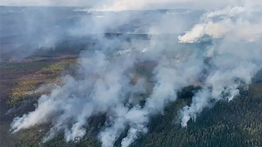 Skogsbrand sett från skyn. Foto.
