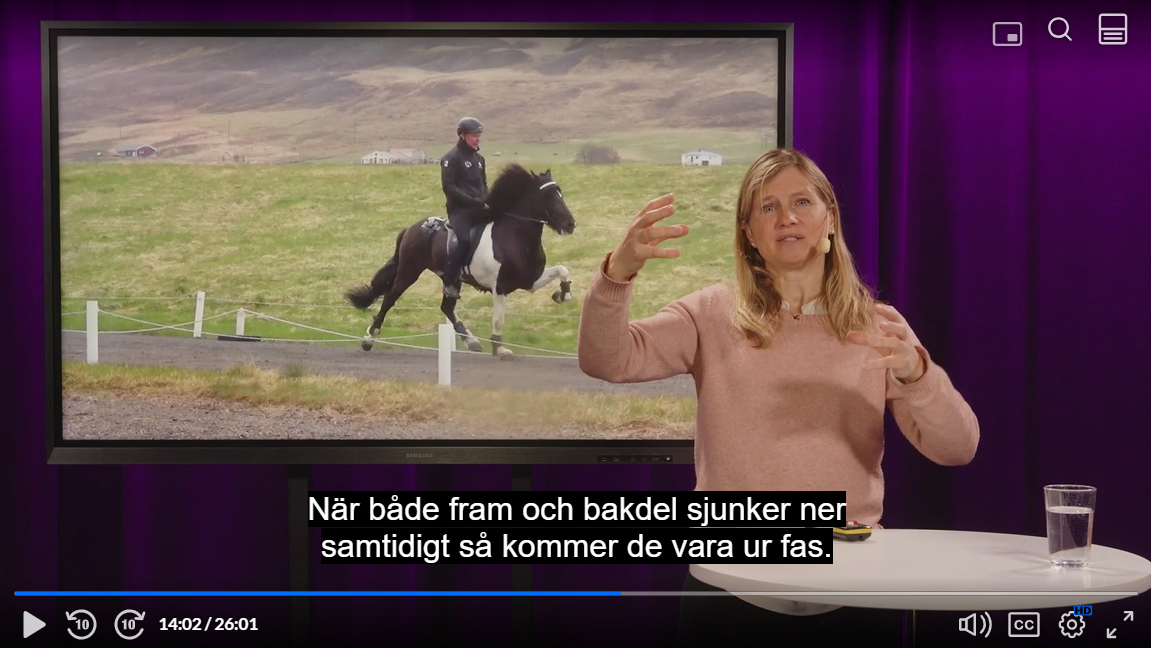 Skärmdump av en kvinnlig hästforskare (Marie Rhodin, SLU) som föreläser framför en bildskärm.